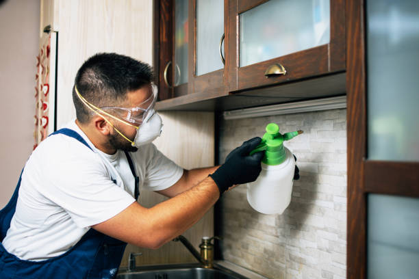 Best Best Pest Control Companies  in Sughter, LA
