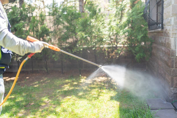 Best Affordable Pest Control Services  in Sughter, LA