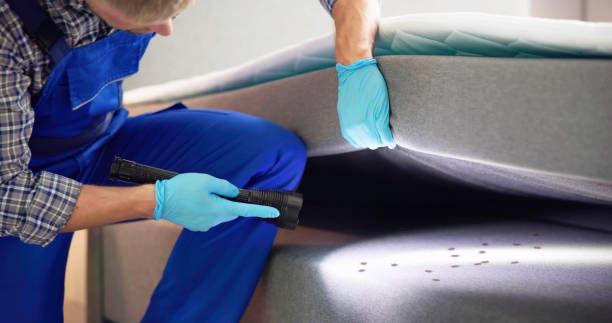 Best Affordable Pest Control Services  in Sughter, LA