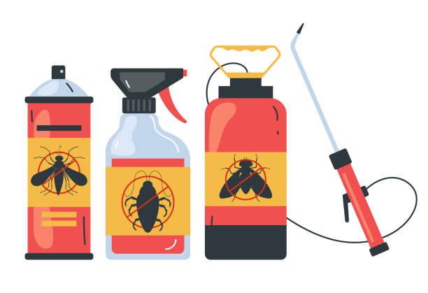 Best Wasp Removal Services  in Sughter, LA