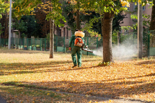Best Local Pest Control Services  in Sughter, LA