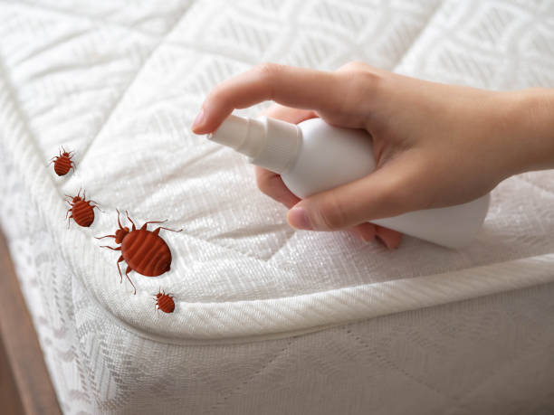 Best Commercial Pest Control Services  in Sughter, LA