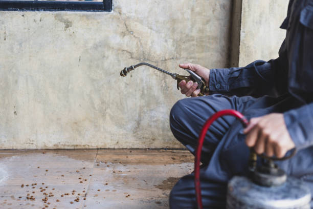Best Pest Inspection Near Me  in Sughter, LA